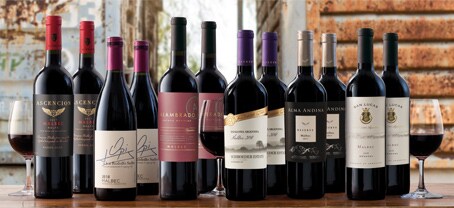 Bold Argentine Malbec