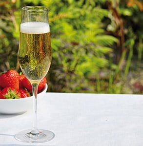 Stylish Spring Bubbly