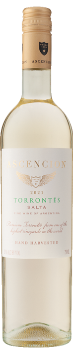 Ascencion Torrontés