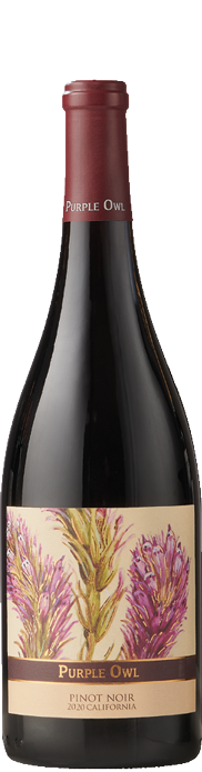 Purple Owl Pinot Noir