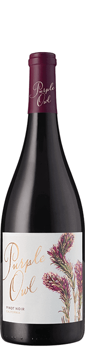 Purple Owl Pinot Noir 2022 Purple Owl Pinot Noir 2022