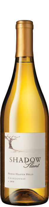 Shadow Slant Chardonnay 2016