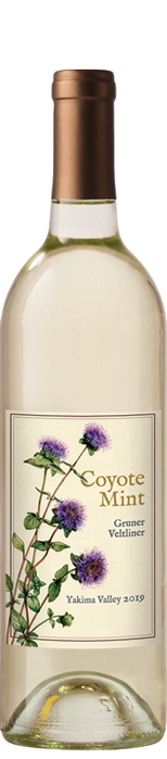 Coyote Mint Gruner Veltliner