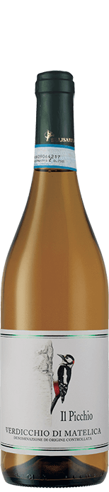 Il Picchio Verdicchio di Matelica Il Picchio Verdicchio di Matelica