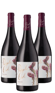 Purple Owl Pinot Noir 2023 Purple Owl Pinot Noir 2023