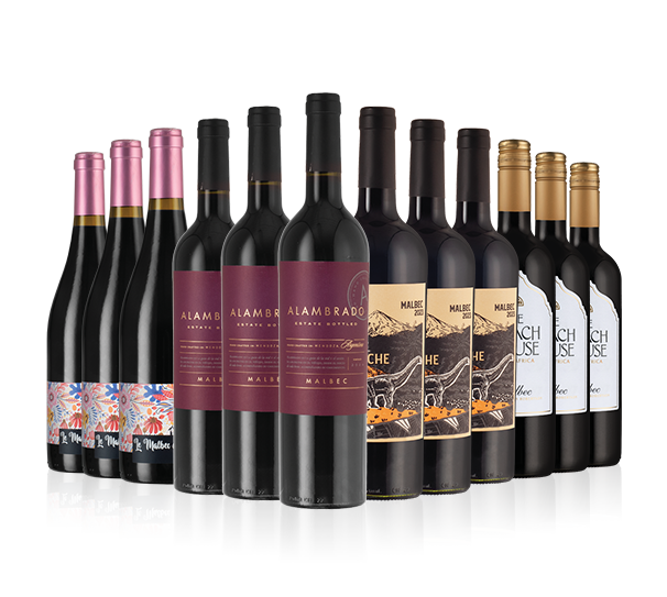 Juicy Malbec Dozen (Add-On Deal)