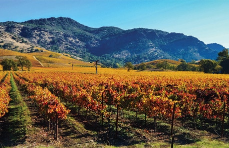 California red wine blends