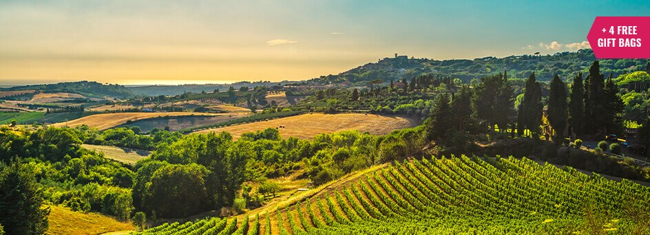 award winner red wine from Tuscany
