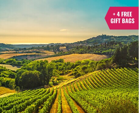 award winner red wine from Tuscany