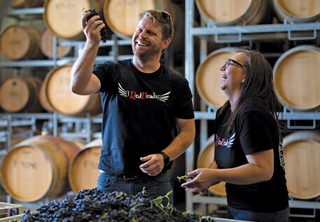 Australia wine red sale good deal