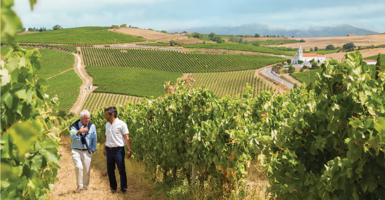 portugal red wine gold medal