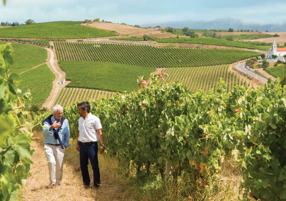 portugal red wine gold medal