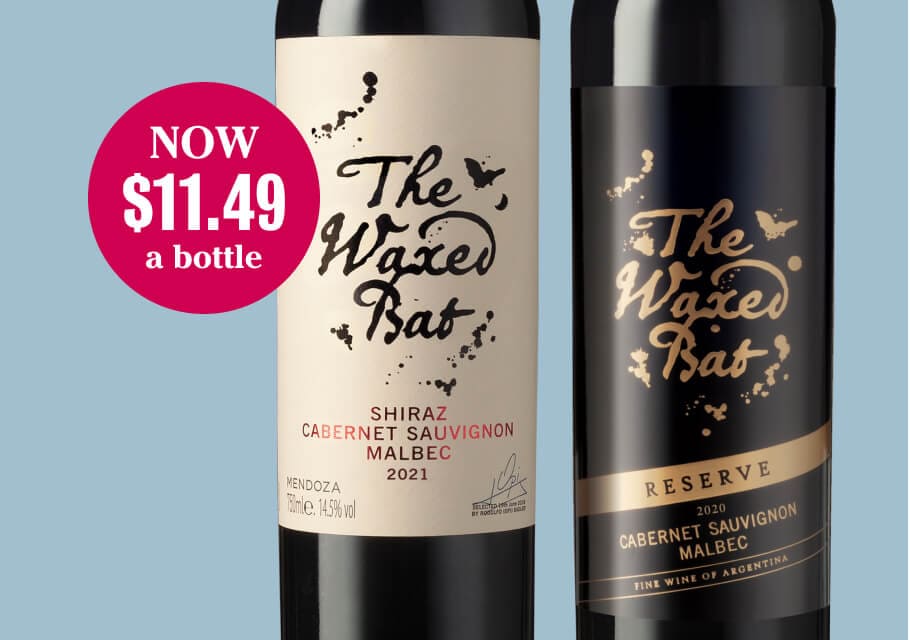 argentina red wine 90 points