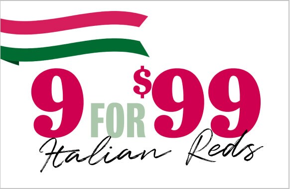 wine case under $100