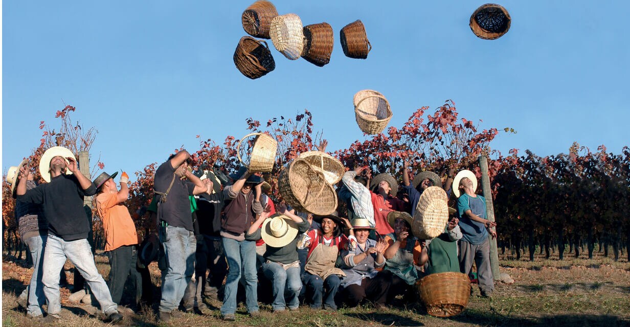  World Malbec Day 2023