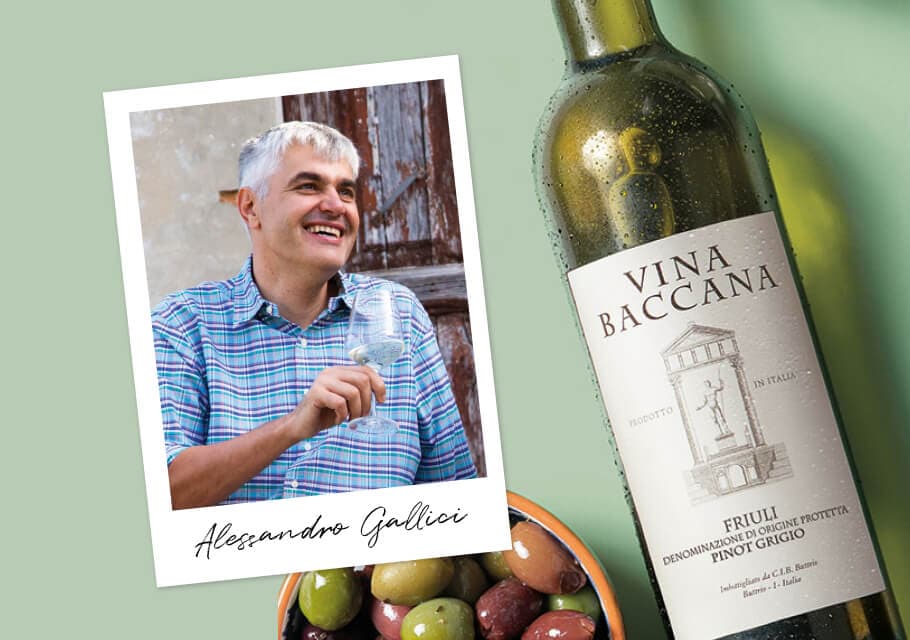 northern italian pinot grigio sale