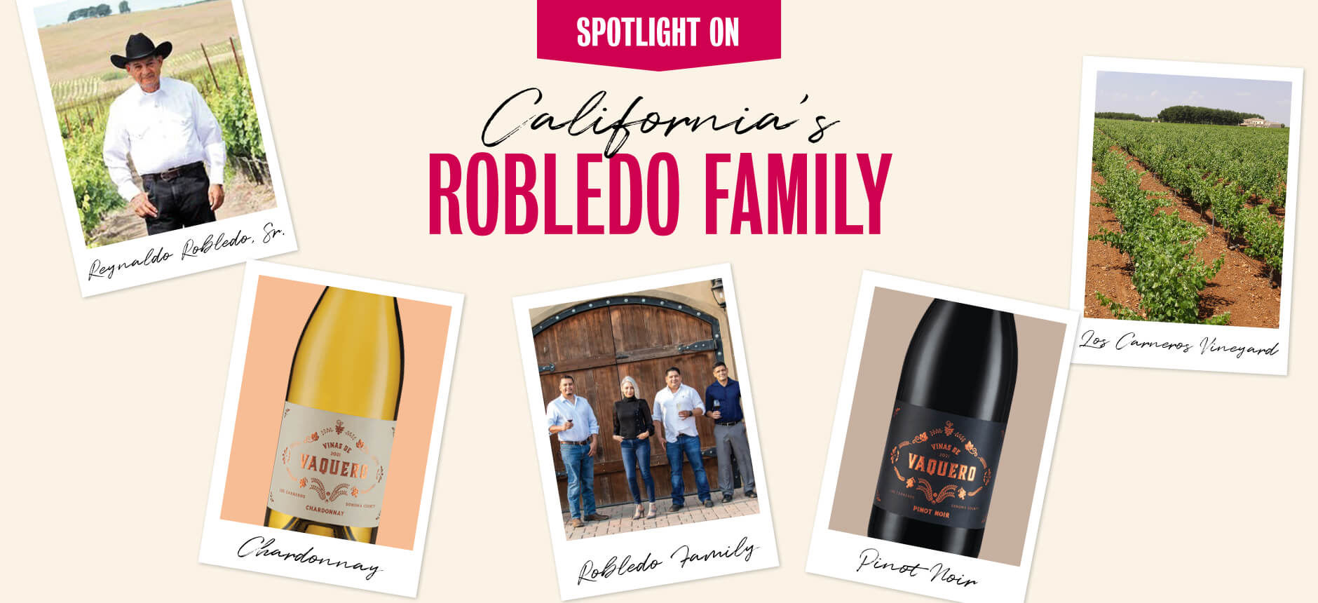 pinot noir chardonnay wine