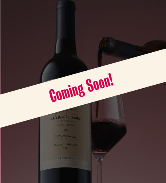 south american wines